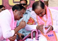 What is the condition of pink MLAs?