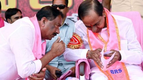 What is the condition of pink MLAs?