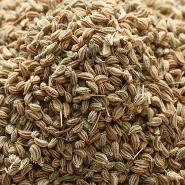  How to lose weight fastly with Ajwain