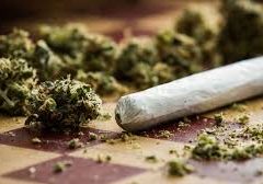 Cannabis in engineering colleges