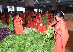 ఇంద్రకీలాద్రి లో శాకంబరీ దేవి ఉత్సవాలు ప్రారంభం