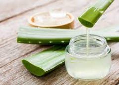 Benefits of Aloe Vera