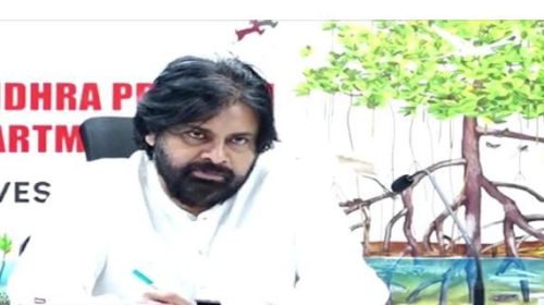 డిప్యూటీ సీఎం పవన్ కళ్యాణ్