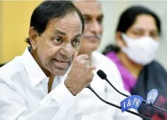 Rose boss KCR is a huge sketch to protect the cadre