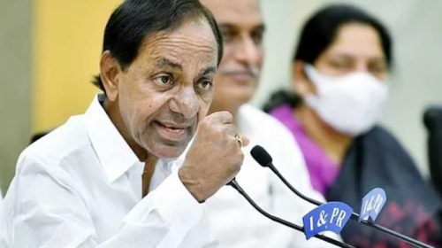 Rose boss KCR is a huge sketch to protect the cadre