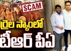 KTR PA in scam?