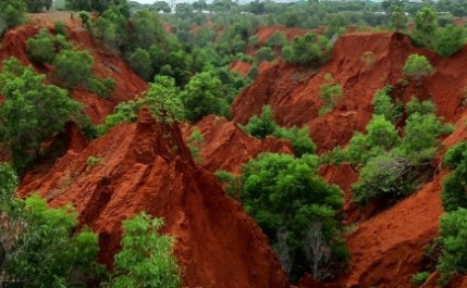 CMO asked about red mud dunes