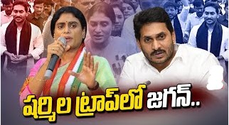 Jagan in Sharmila Trap...