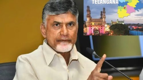 TDP Leader Chandrababu naidu