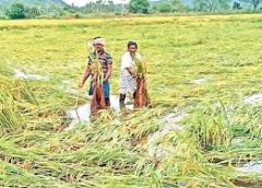 The rains caused huge damage