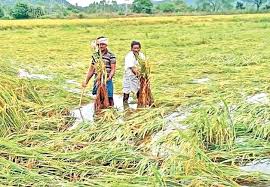 The rains caused huge damage