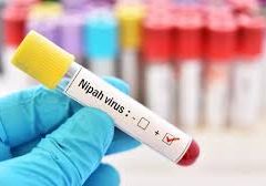 Nipha virus in Kerala