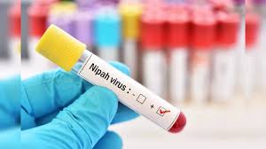 Nipha virus in Kerala