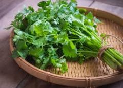 Coriander