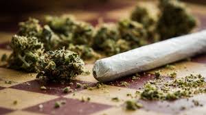 Cannabis in engineering colleges