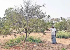 A farmer in trouble