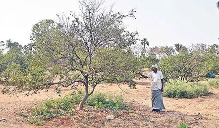 A farmer in trouble