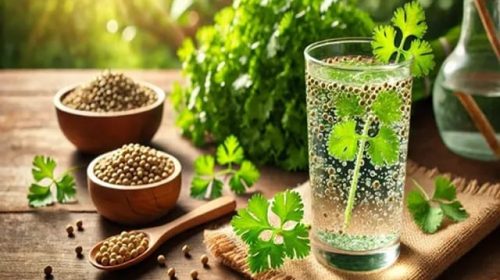 Drinking the water of coriander seeds soaked in pargadu is good for health