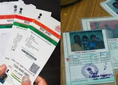 Government targets fake ration cards