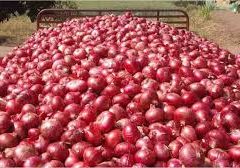 Onion is in huge demand