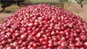 Onion is in huge demand