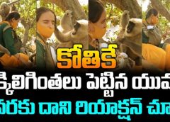 కోతికే చక్కిలిగింతలు పెట్టిన యువతి..చివరకు దాని రియాక్షన్ చూస్తే..!