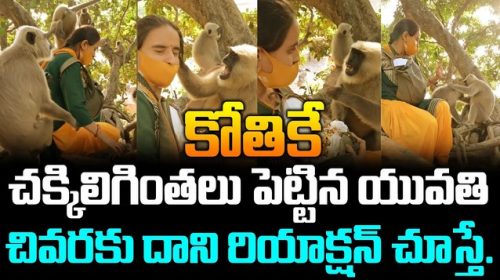 కోతికే చక్కిలిగింతలు పెట్టిన యువతి..చివరకు దాని రియాక్షన్ చూస్తే..!