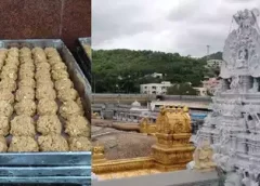 3 లక్షల లడ్డూలు విక్రయం.. 500 కోట్ల వార్షిక ఆదాయం.