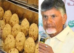 ఏపీలో కొనసాగుతున్నఆపరేషన్ ఘీ