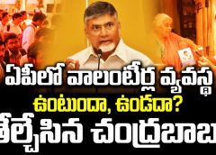 Chandrababu AP Volunteers System