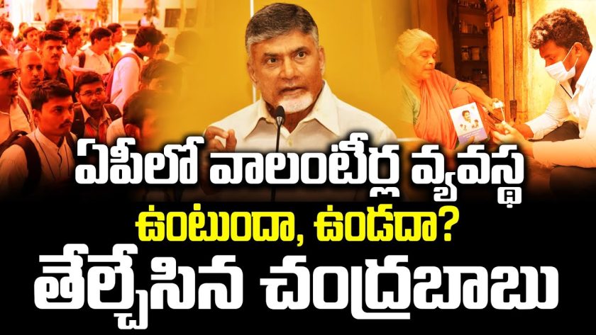 Chandrababu AP Volunteers System