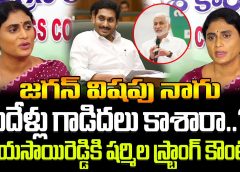 Jagan Is Poisonous Snake : YS Sharmila | జగన్ విషపు నాగు, విజయసాయిరెడ్డికి షర్మిల స్ట్రాంగ్ కౌంటర్..