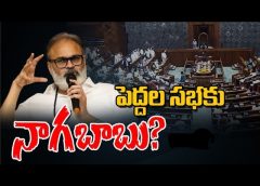 పెద్దల సభకు నాగబాబు