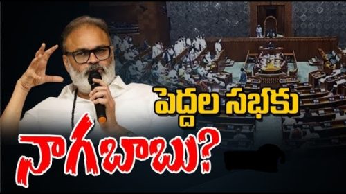 పెద్దల సభకు నాగబాబు