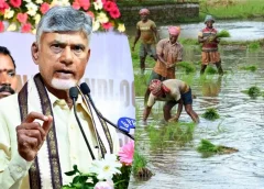 48 గంటల్లో రైతుల ఖాతాల్లో నగదు జమ