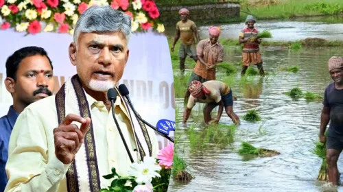 48 గంటల్లో రైతుల ఖాతాల్లో నగదు జమ