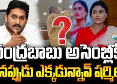 Ys Sharmila Vs Ys Jagan