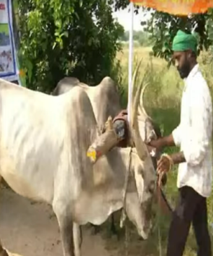 యువరైతుల పెళ్లి కోసం బండి యాత్ర