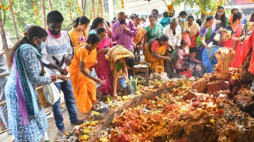 ఘనంగా నాగుల చవితి వేడుకలు