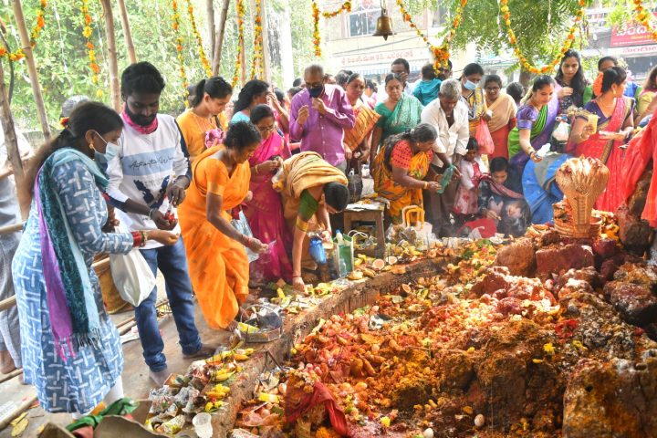 ఘనంగా నాగుల చవితి వేడుకలు