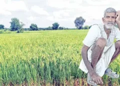 Telangana government, which hopes to provide farmer assurance from Sankranti, has focused on the formulation of procedures.