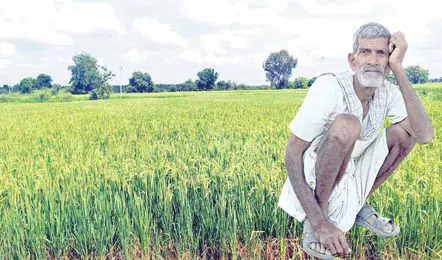 Telangana government, which hopes to provide farmer assurance from Sankranti, has focused on the formulation of procedures.