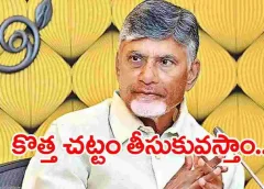 CM Chandrababu:ఇద్దరు పిల్లలుంటేనే పోటీకి అర్హత కల్పిస్తూ కొత్త చట్టం