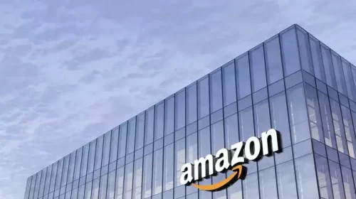 Home-thieves-in-Amazon