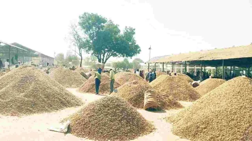 mahbub nagar-peanut farmers