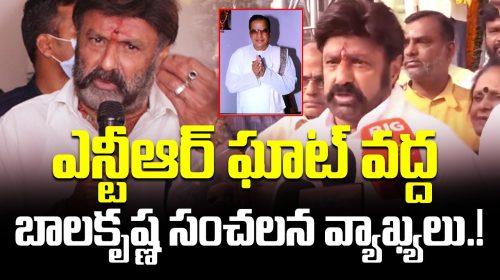 Balakrishna's sensational comments at NTR Ghat!