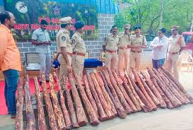 andhra-pradesh-red-sandalwood-thieves