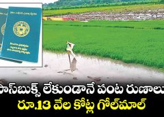 banks-who-gave-loans-without-land-pass-book-in-telangana