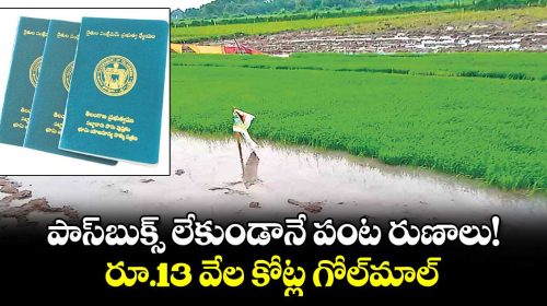 banks-who-gave-loans-without-land-pass-book-in-telangana