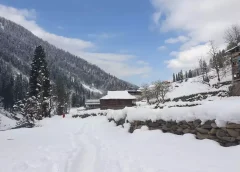 kashmir-snowfall